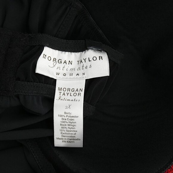 Morgan Taylor Rose Mesh Lingerie 2X | Whimsigoth Romantic Boudoir Alt Style - Picture 8 of 8